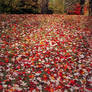 autumnal leafs :::