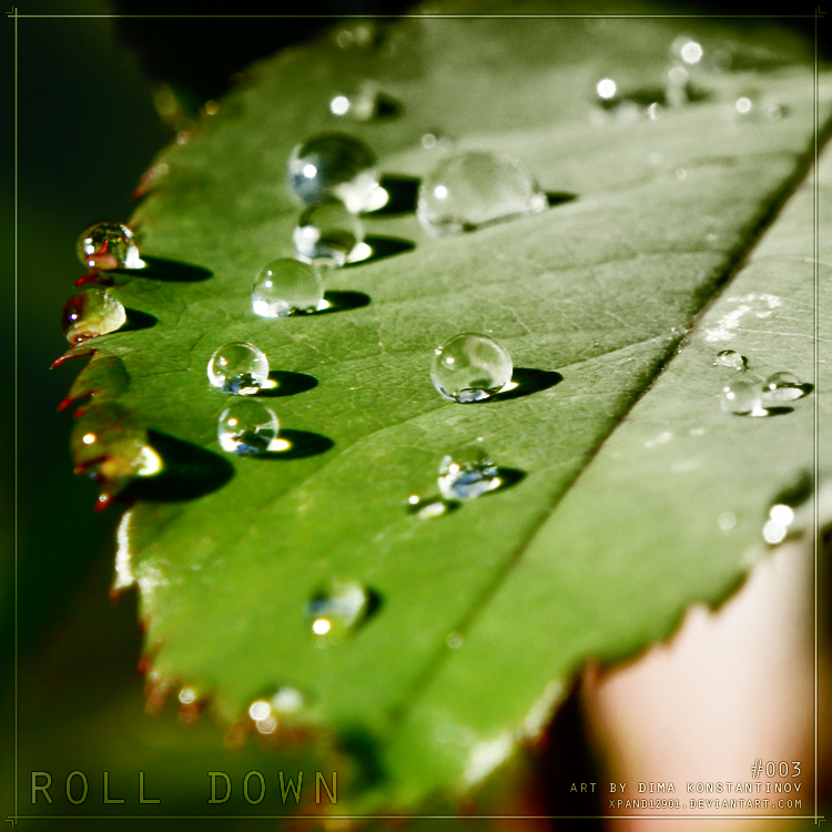 Roll down