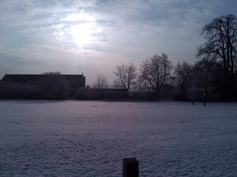 snowy fields