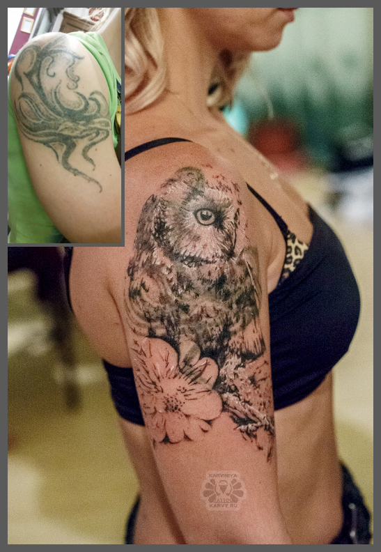 owl 2 in progress