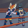 Lucario Cinderace Fight