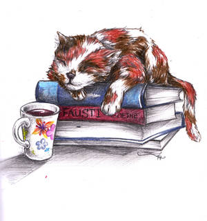 cats and books no. 3