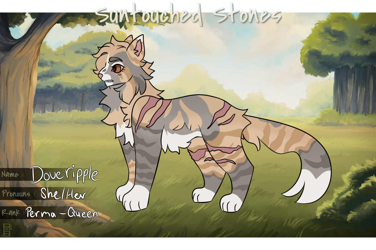Doveripple | Warrior by Highstone-Crystals on DeviantArt