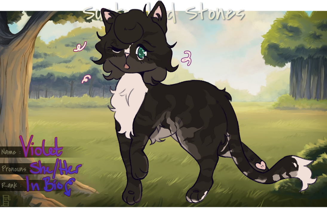 Violetkit Violetkit | Kit by Highstone-Crystals on DeviantArt