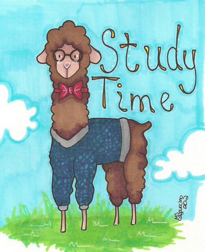 Study Time Alpaca