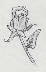 rose tattoo concept