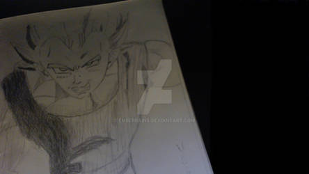 Vegeta Angry