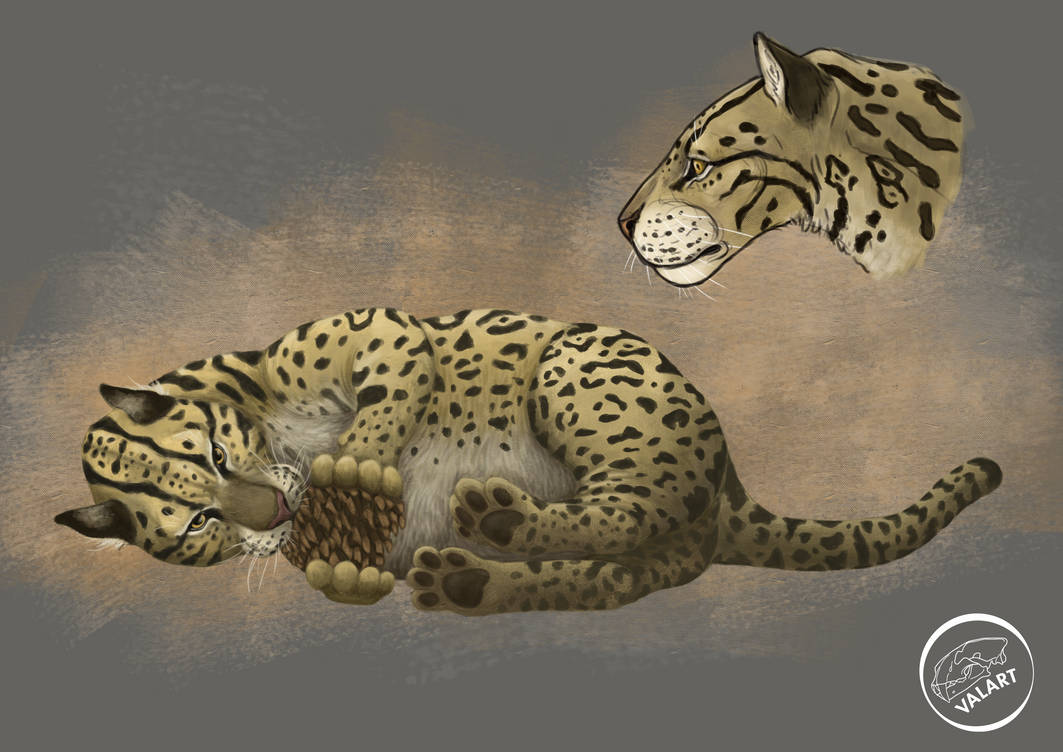 Proailurus lemanensis by valeriaart17 on DeviantArt
