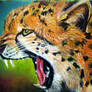 Gepard