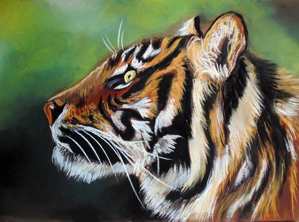tiger 10 by Tomek3618