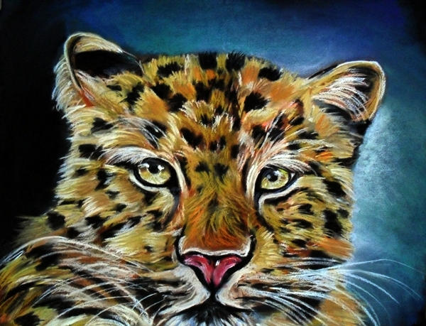 tiger-cat by Tomek3618