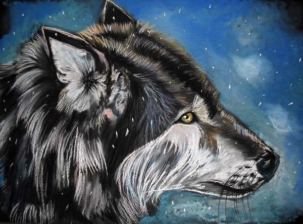 Wolf winter