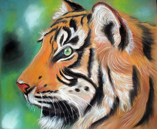 tiger 2 by Tomek3618