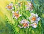 Spring Flowers 3 by Til-Til