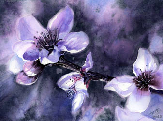 Spring Flowers - Almond
