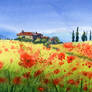 Estate among poppies