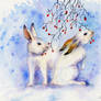 Snow Hares