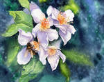 Blossom for Bee by Til-Til