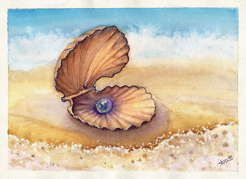 Shell with a Secret by Til-Til on DeviantArt