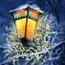 Soft Night Light