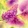 Spring Flowers_new season_Lilac