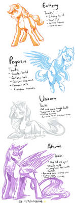 Pony Traits Study by yuyusunshine