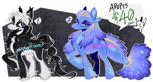 :ADOPTS: Flats (OPEN) 1/2