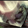 Sf12--c5p29