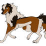 Dog Adopt Auction- Collie MIx Open