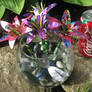 Soda Can Multicolor Lilies2