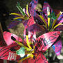 Recycled Multicolor Lilies3