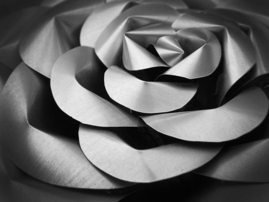 Soda Can Rose - Close Up