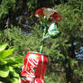 Coke Can Rose - 'Torn' 2