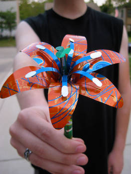 Soda Can Lily: Orange-Blue