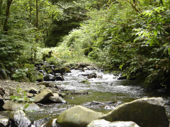 Bubbling lake or brook