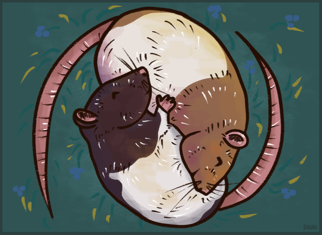 Rat Deviantart Little Rats by Faunor on DeviantArt