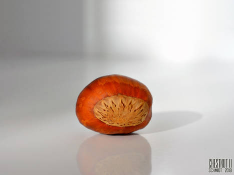 Chestnut II