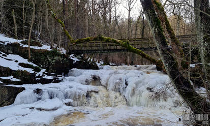 Winter Waterfall