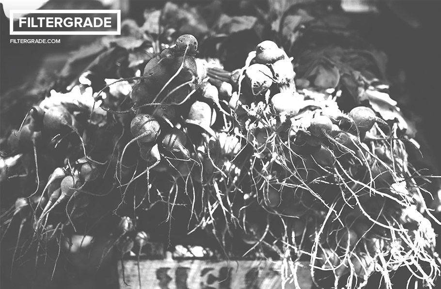 retro black and white photoshop action