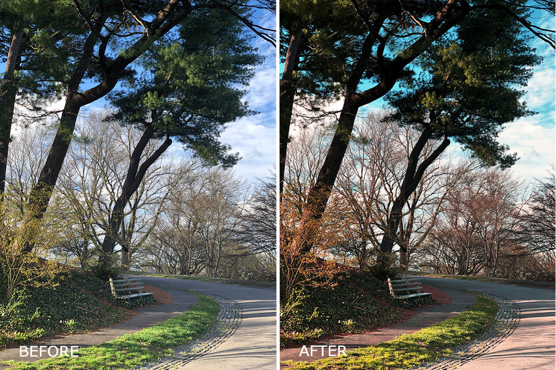 sunset free luts download on