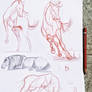 Other horse studies