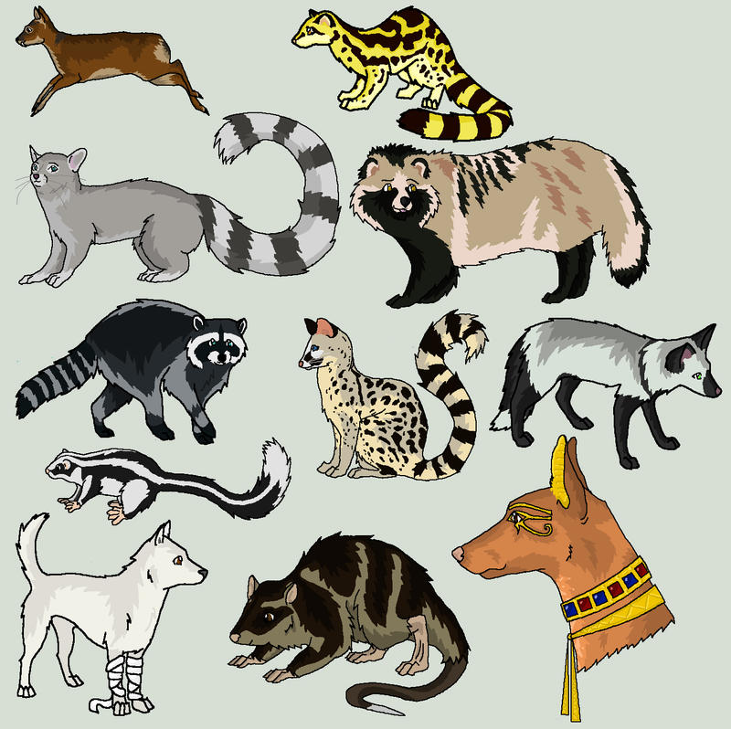 An Assortment of Animals by caliwings