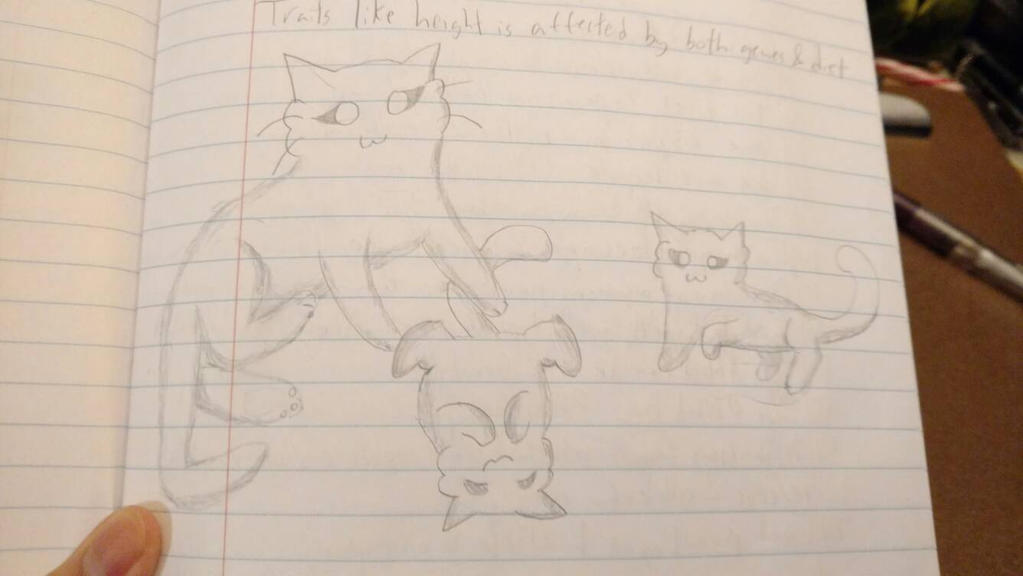 Deviantart Note Do Note doodles 6 by BenjiFlareon on DeviantArt