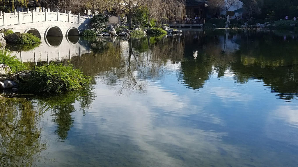 Cell Study - Japanese Garden Lake