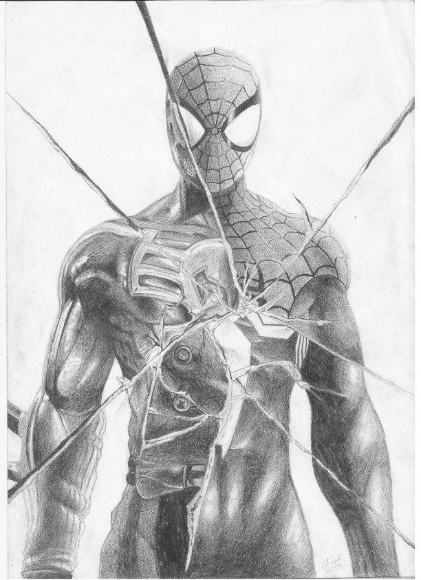 Animal How To Draw Spiderman Ultimate From Shattered Dimensions Sketch for Beginner