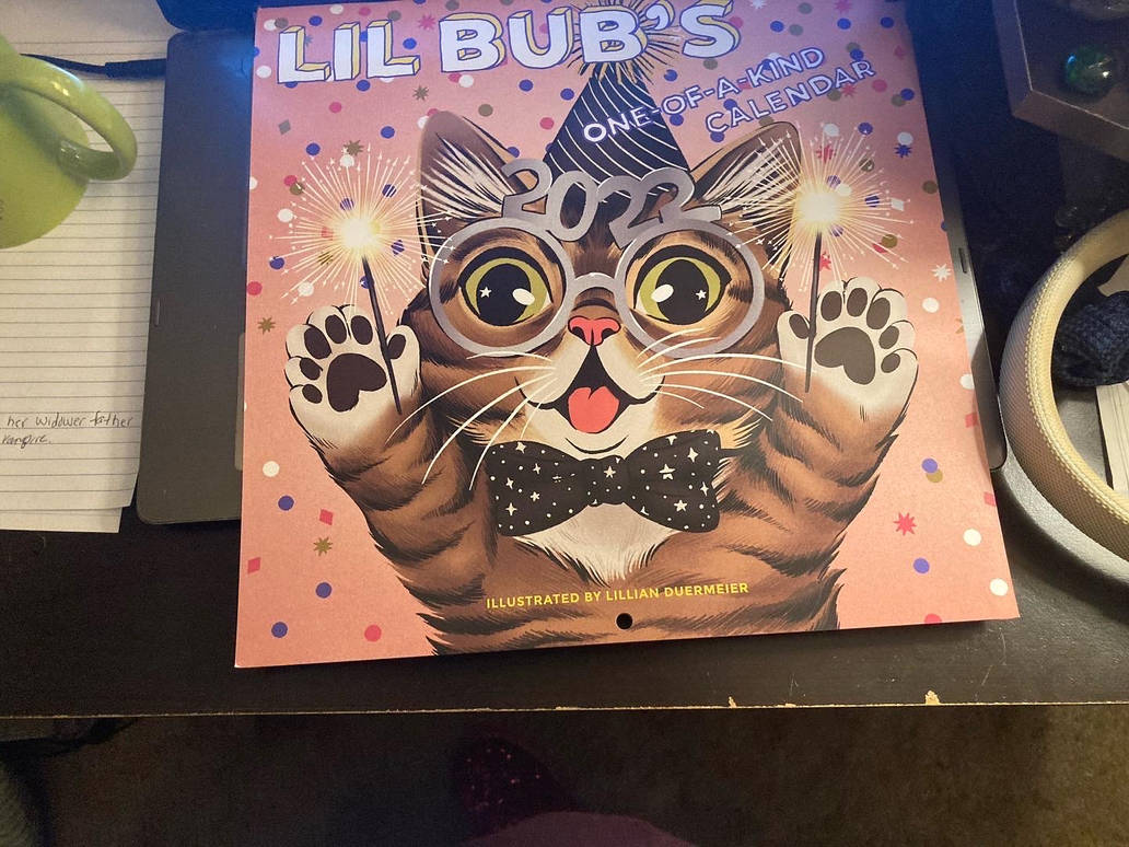 Lil Bub 2022 Calendar by OdetteXKiryu on DeviantArt