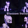 Blossom Italian G4