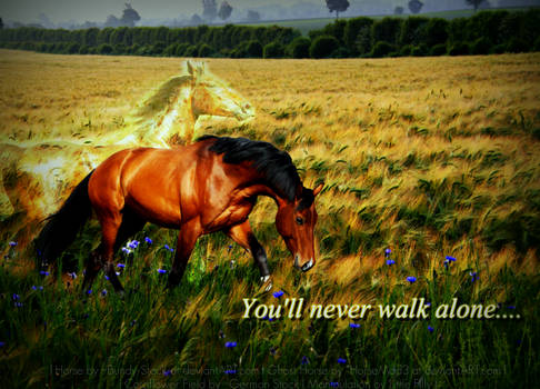 You'll Never Walk Alone....