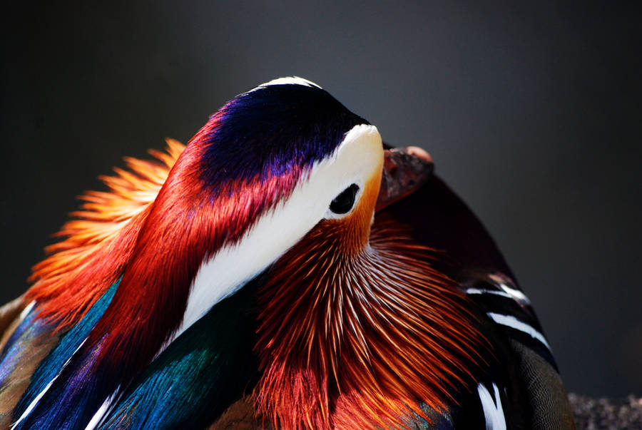 All About Colors by AngelaLeonetti