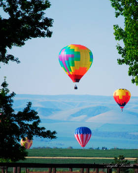 The Balloon Race